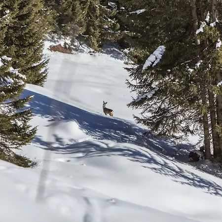 דירה Bucherhof -