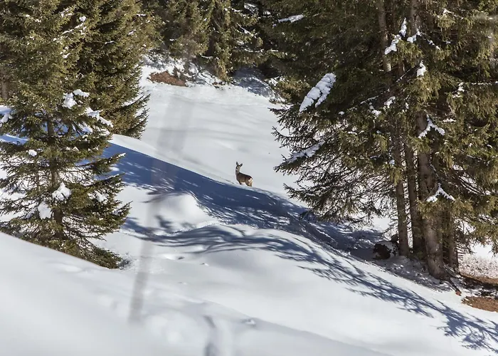 Apartment Bucherhof -